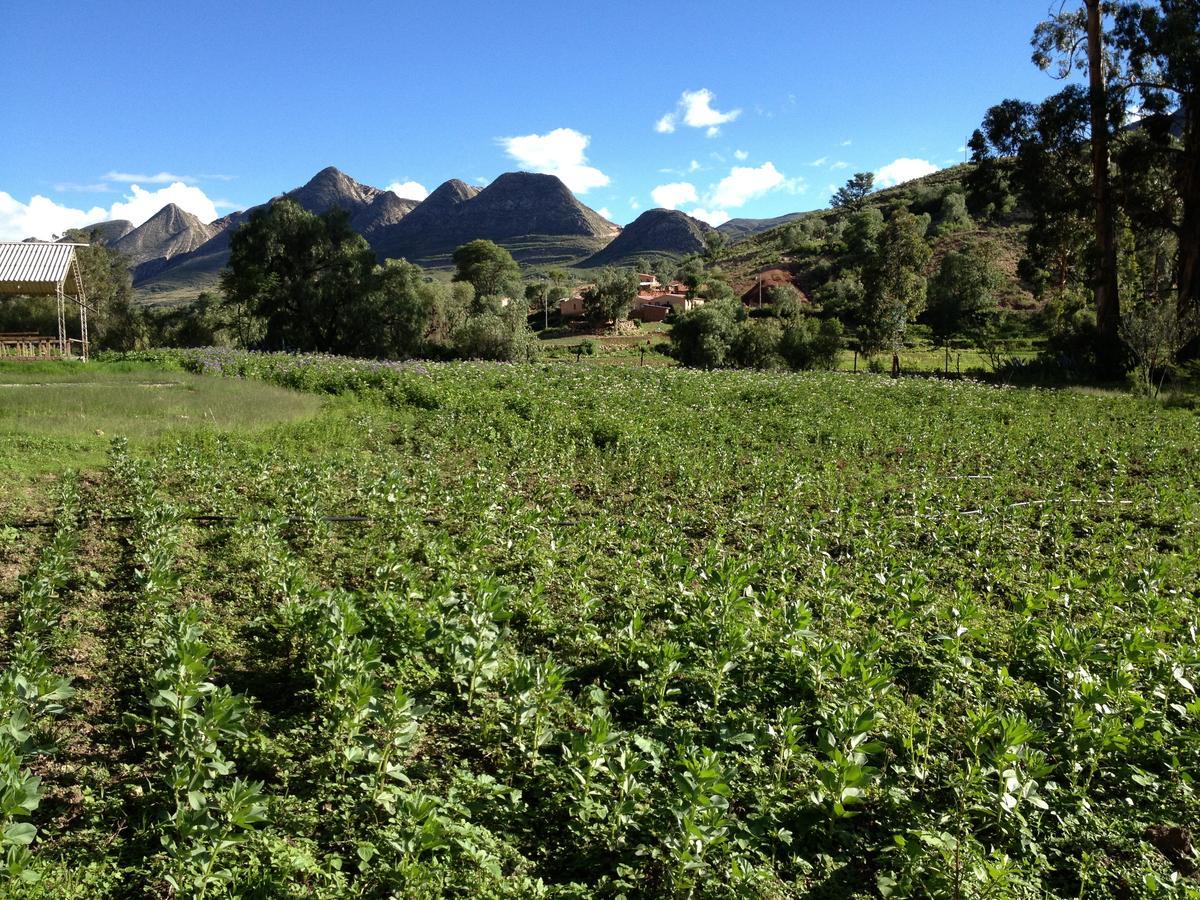 El Molino Bed & Breakfast Torotoro Luaran gambar