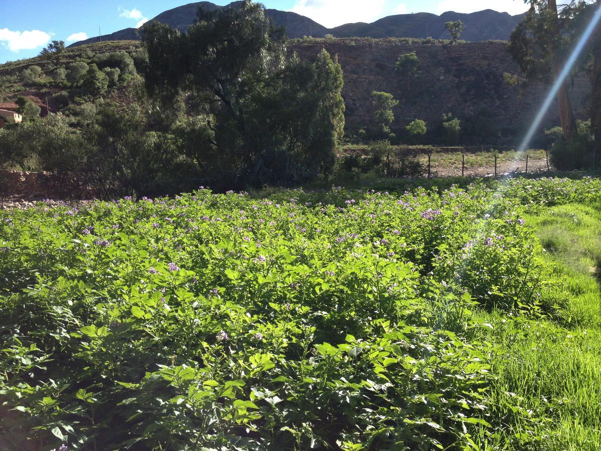 El Molino Bed & Breakfast Torotoro Luaran gambar