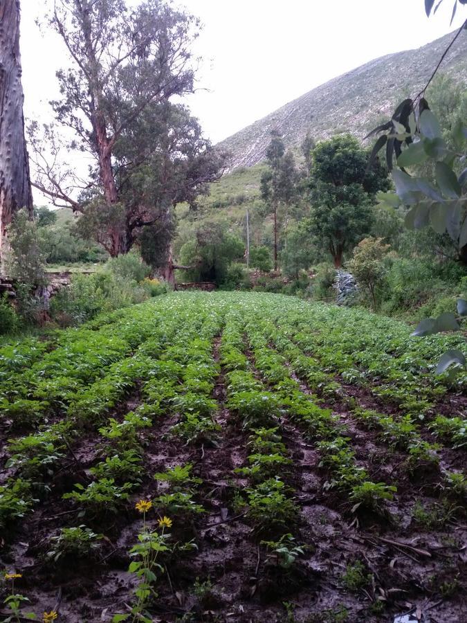 El Molino Bed & Breakfast Torotoro Luaran gambar